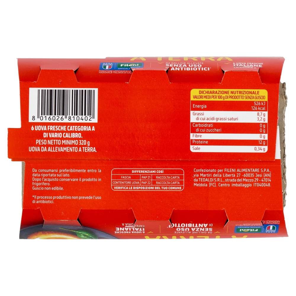 Fileni 6 Uova Fresche Italiane da allevamento a Terra 320 g